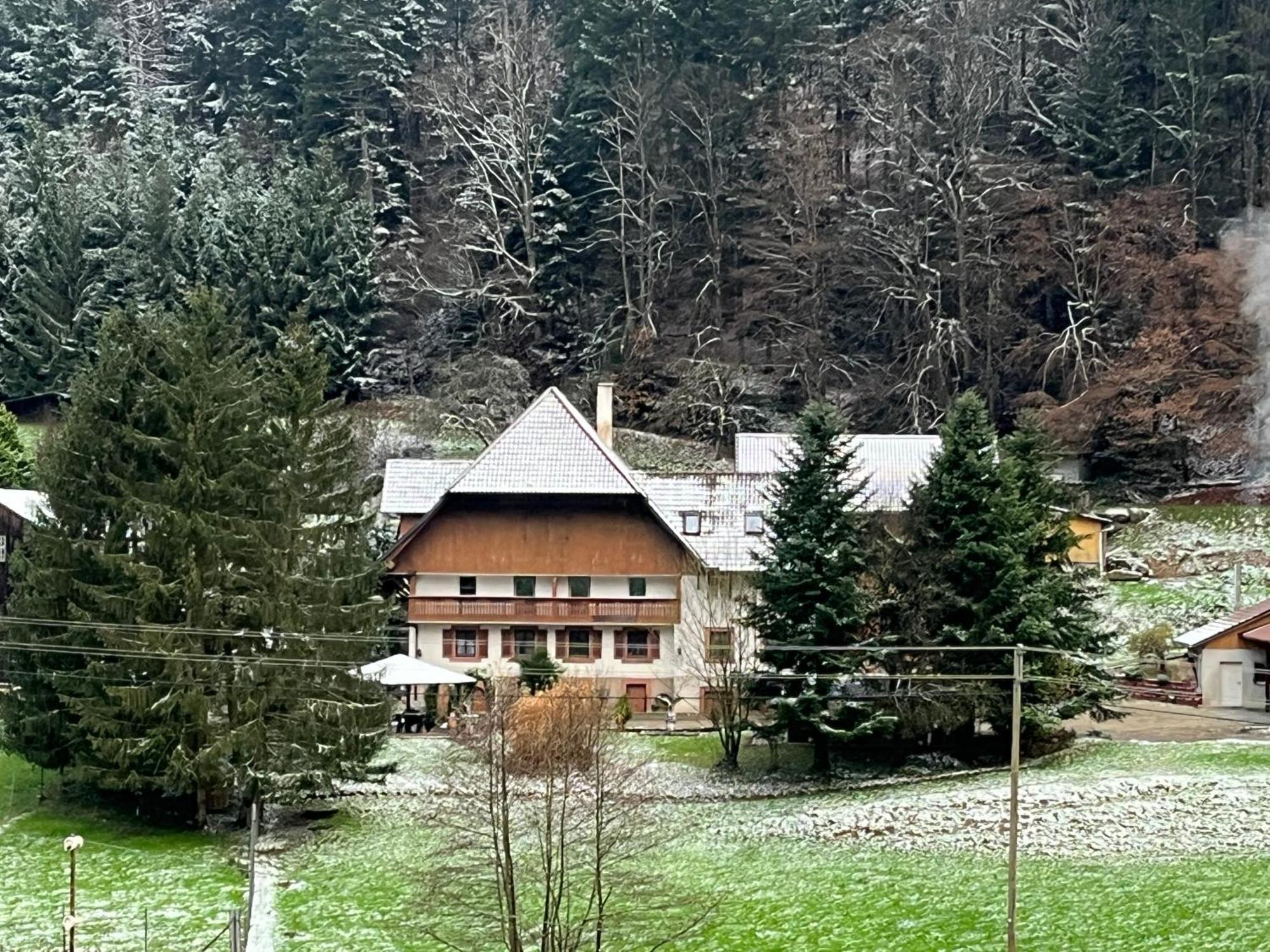 Geraeumige Wohnung Im Schwarzwald Seelbach  Exteriör bild
